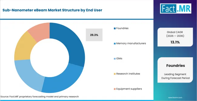 Sub Nanometer EBeam Market   Analysis By End User